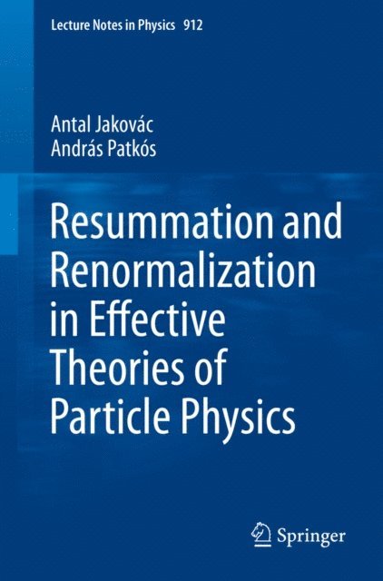 Andras Patkos, Antal Jakovac - Resummation and Renormalization in Effective Theories of Particle Physics, E-bok