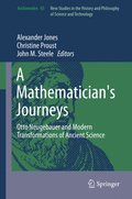 Mathematician's Journeys