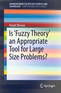 Is 'Fuzzy Theory' an Appropriate Tool for Large Size Problems?