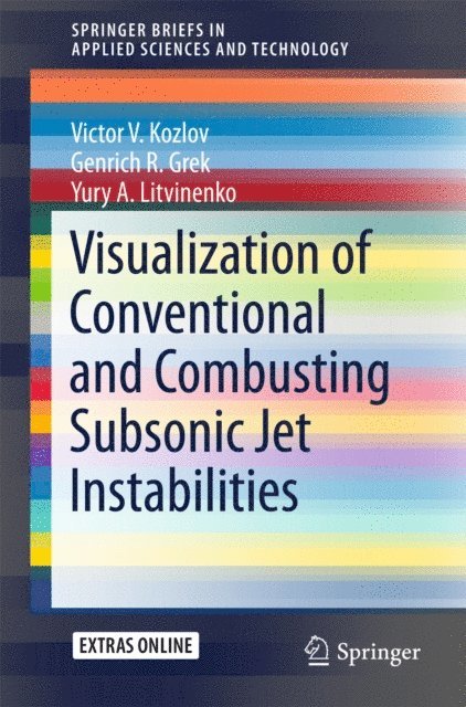 Yury A. Litvinenko, Genrich R. Grek, Victor V. Kozlov - Visualization of Conventional and Combusting Subsonic Jet Instabilities, E-bok