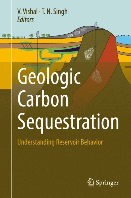 T.N. Singh, V. Vishal - Geologic Carbon Sequestration, E-bok