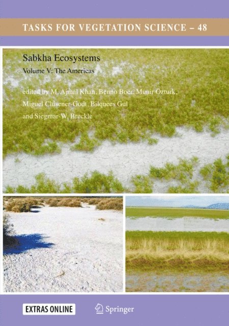 Siegmar-W. Breckle, Bilquees Gul, Miguel Clusener-Godt, Munir Ozturk, Benno Boer, M. Ajmal Khan - Sabkha Ecosystems, E-bok