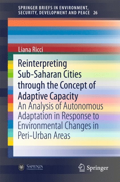 Liana Ricci - Reinterpreting Sub-Saharan Cities through the Concept of Adaptive Capacity, E-bok