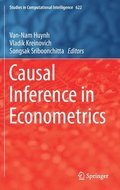 Causal Inference in Econometrics