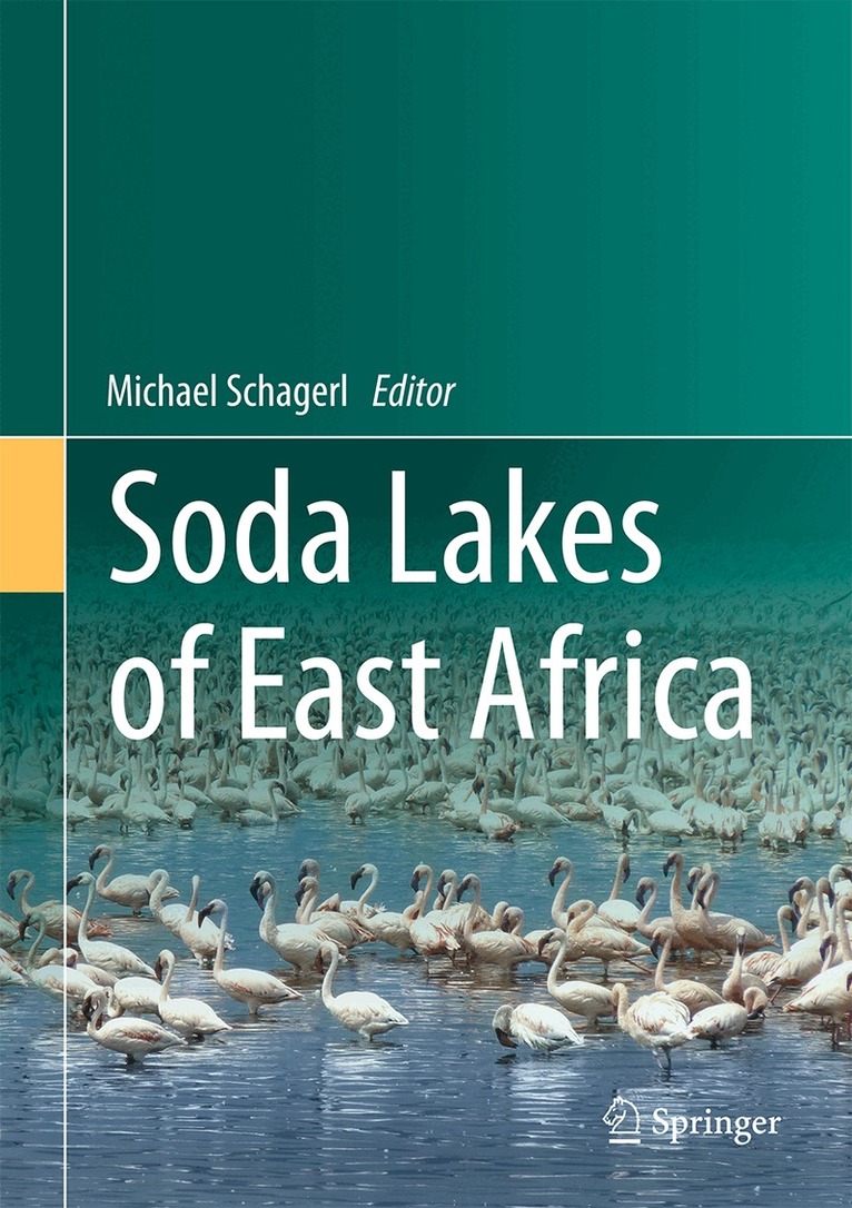 Michael Schagerl - Soda Lakes of East Africa, Inbunden