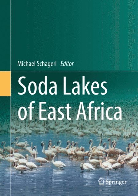 Michael Schagerl - Soda Lakes of East Africa, E-bok