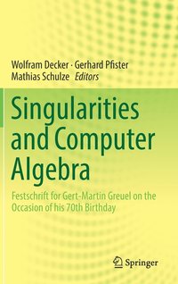 Singularities and Computer Algebra