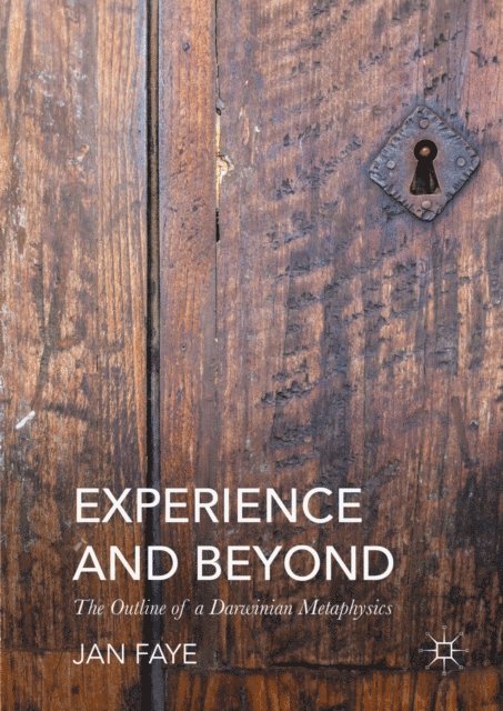 Jan Faye - Experience and Beyond, E-bok