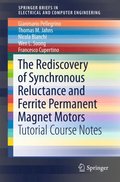 Rediscovery of Synchronous Reluctance and Ferrite Permanent Magnet Motors