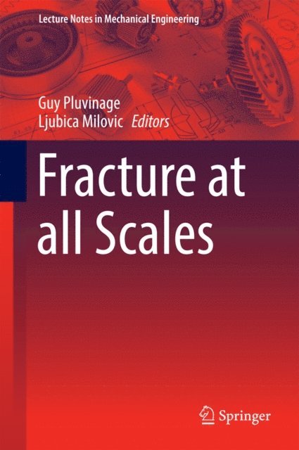 Ljubica Milovic, Guy Pluvinage - Fracture at all Scales, E-bok