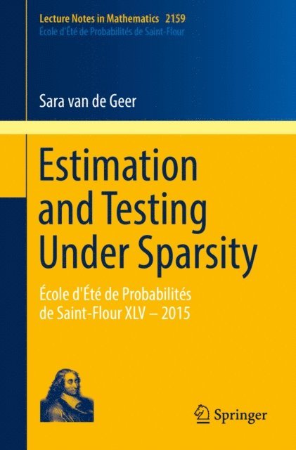 Sara van de Geer - Estimation and Testing Under Sparsity, E-bok
