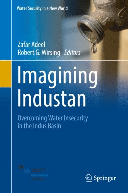 Robert G. Wirsing, Zafar Adeel - Imagining Industan, E-bok