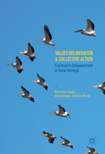 Gerry Mackie, Diane Gillespie, Beniamino Cislaghi - Values Deliberation and Collective Action, E-bok