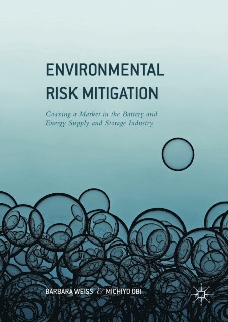 Michiyo Obi, Barbara Weiss - Environmental Risk Mitigation, E-bok