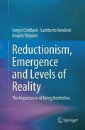 Reductionism, Emergence and Levels of Reality
