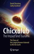 Chicxulub: The Impact and Tsunami
