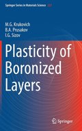 Plasticity of Boronized Layers