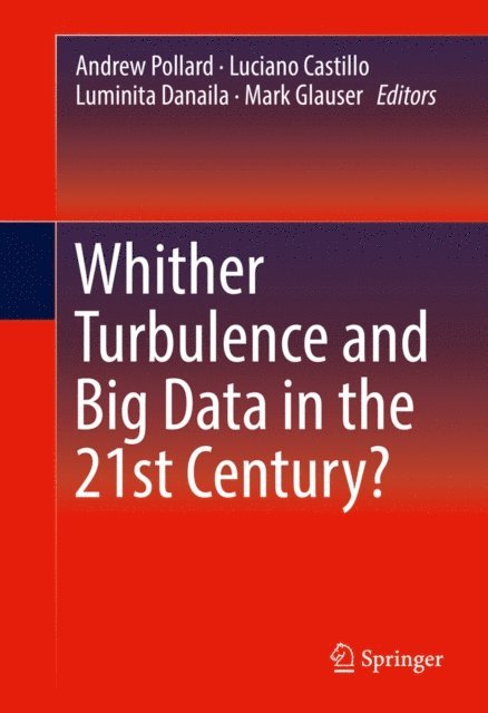 Mark Glauser, Luminita Danaila, Luciano Castillo, Andrew Pollard - Whither Turbulence and Big Data in the 21st Century?, E-bok
