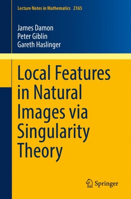 Gareth Haslinger, Peter Giblin, James Damon - Local Features in Natural Images via Singularity Theory, E-bok