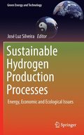 Sustainable Hydrogen Production Processes