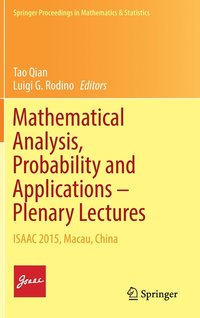 Mathematical Analysis, Probability and Applications  Plenary Lectures