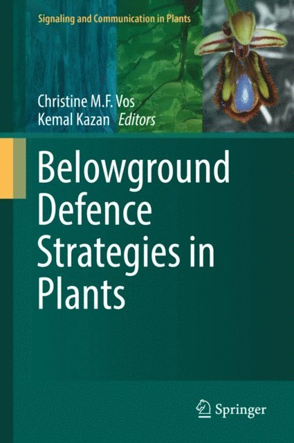 Kemal Kazan, Christine M.F. Vos - Belowground Defence Strategies in Plants, E-bok