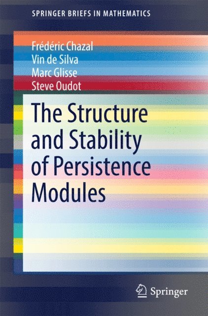 Steve Oudot, Marc Glisse, Vin de Silva, Frederic Chazal - Structure and Stability of Persistence Modules, E-bok