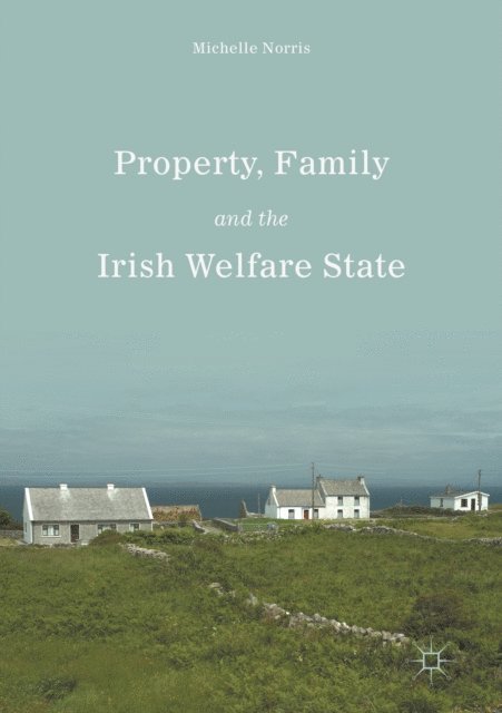 Michelle Norris - Property, Family and the Irish Welfare State, E-bok