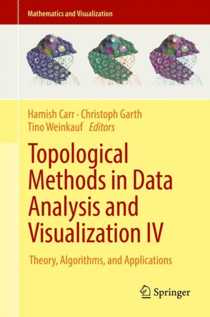 Tino Weinkauf, Christoph Garth, Hamish Carr - Topological Methods in Data Analysis and Visualization IV, E-bok
