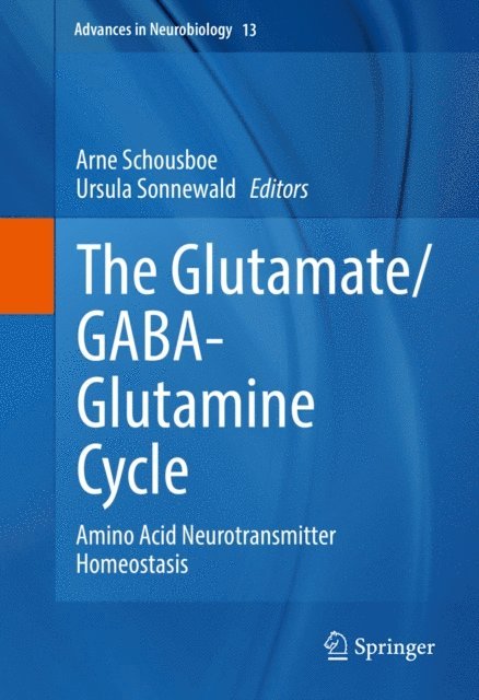 Ursula Sonnewald, Arne Schousboe - Glutamate/GABA-Glutamine Cycle, E-bok