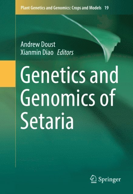 Xianmin Diao, Andrew Doust - Genetics and Genomics of Setaria, E-bok