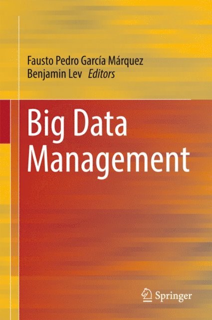 Benjamin Lev, Fausto Pedro Garcia Marquez - Big Data Management, E-bok