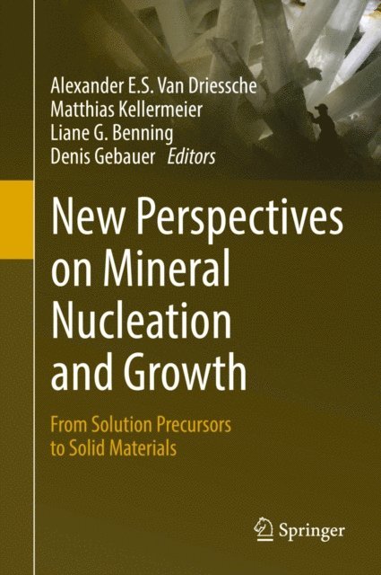 Denis Gebauer, Liane G. Benning, Matthias Kellermeier, Alexander E.S. Van Driessche - New Perspectives on Mineral Nucleation and Growth, E-bok