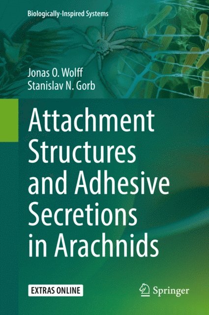 Stanislav N. Gorb, Jonas O. Wolff - Attachment Structures and Adhesive Secretions in Arachnids, E-bok