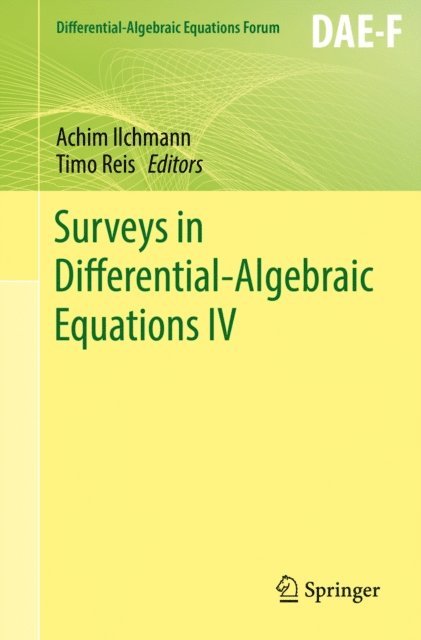 Timo Reis, Achim Ilchmann - Surveys in Differential-Algebraic Equations IV, E-bok