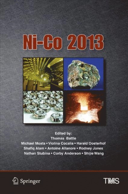 Shijie Wang, Corby Anderson, Nathan Stubina, Rodney Jones, Antoine Allanore, Shafiq Alam, Harald Oosterhof, Violina Cocalia, Michael Moats, Thomas Battle - Ni-Co 2013, E-bok