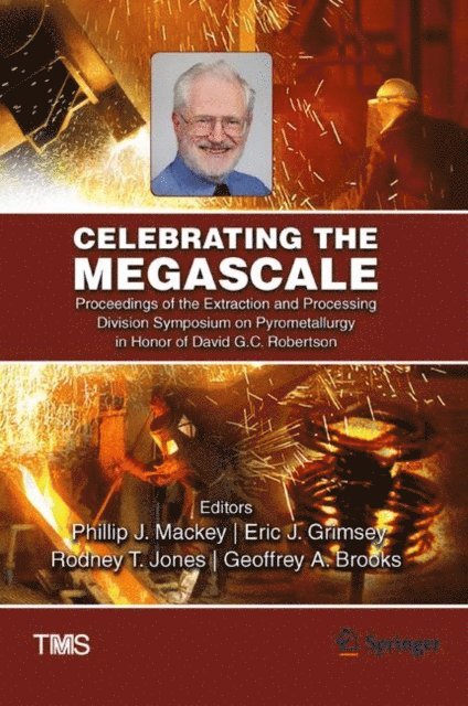 Geoffrey Brooks, Rodney Jones, Eric Grimsey, Phillip Mackey - Celebrating the Megascale, E-bok