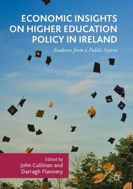 Darragh Flannery, John Cullinan - Economic Insights on Higher Education Policy in Ireland, E-bok