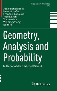 Geometry, Analysis and Probability