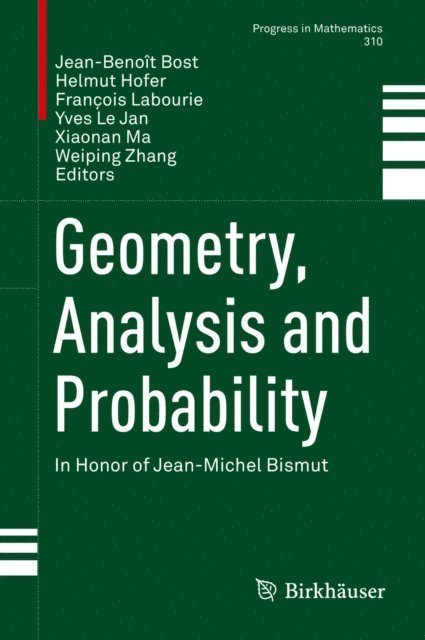 Weiping Zhang, Xiaonan Ma, Yves Le Jan, Francois Labourie, Helmut Hofer, Jean-Benoit Bost - Geometry, Analysis and Probability, E-bok