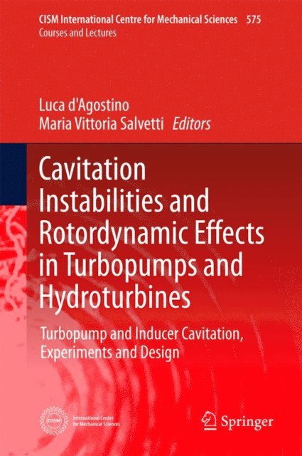 Maria Vittoria Salvetti, Luca d'Agostino - Cavitation Instabilities and Rotordynamic Effects in Turbopumps and Hydroturbines, E-bok