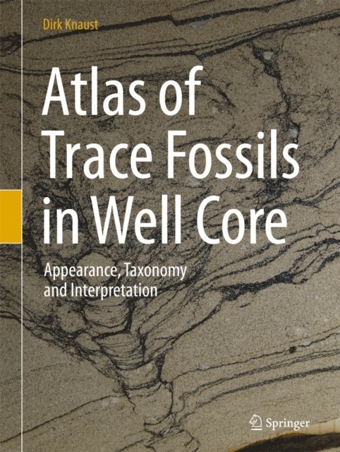 Dirk Knaust - Atlas of Trace Fossils in Well Core, E-bok