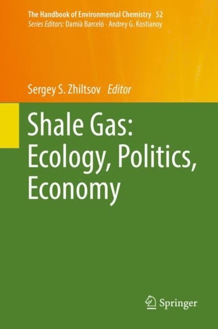Sergey S. Zhiltsov - Shale Gas: Ecology, Politics, Economy, E-bok