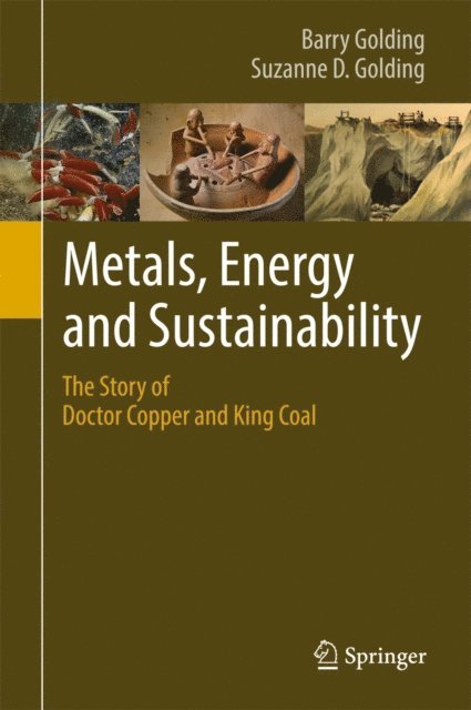 Suzanne D. Golding, Barry Golding - Metals, Energy and Sustainability, E-bok