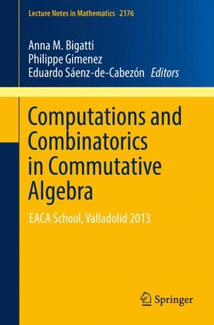 Eduardo Saenz-de-Cabezon, Philippe Gimenez, Anna M. Bigatti - Computations and Combinatorics in Commutative Algebra, E-bok