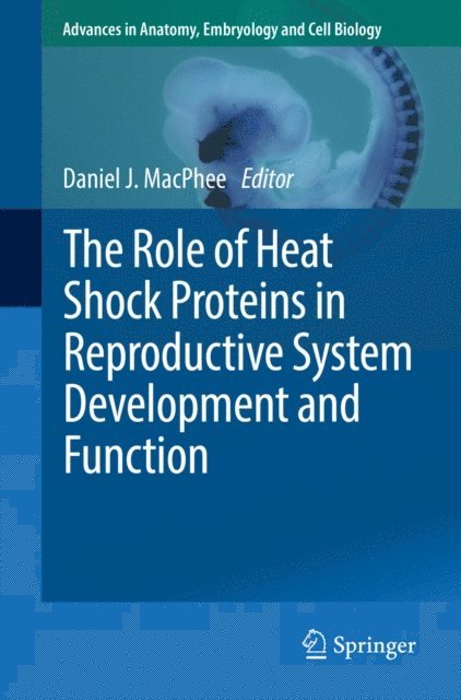 Daniel J. MacPhee - Role of Heat Shock Proteins in Reproductive System Development and Function, E-bok