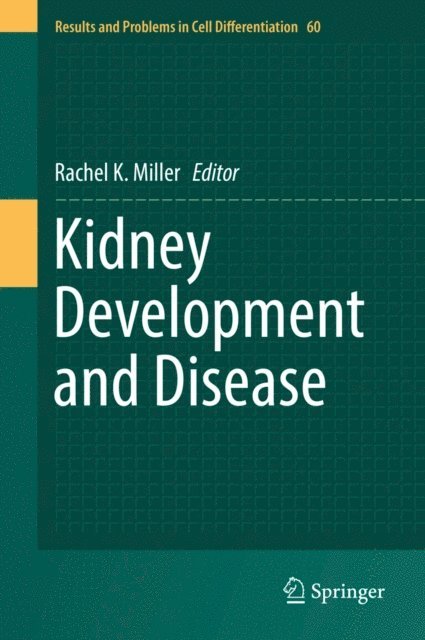 Rachel K. Miller - Kidney Development and Disease, E-bok