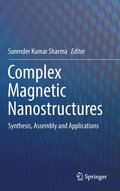 Complex Magnetic Nanostructures