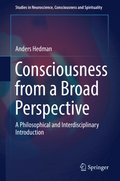 Consciousness from a Broad Perspective