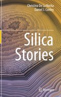 Silica Stories